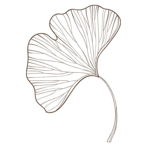 Angelique photographie - Photographe des femmes en Dordogne